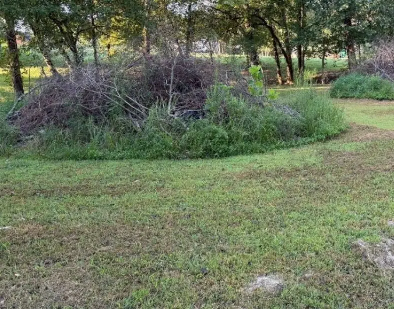 Large brush piles grown over in a shaded yard before clearing